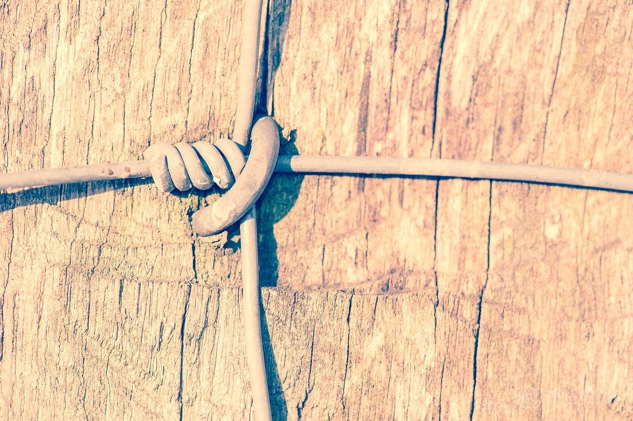 fence, wire, wood-938237.jpg